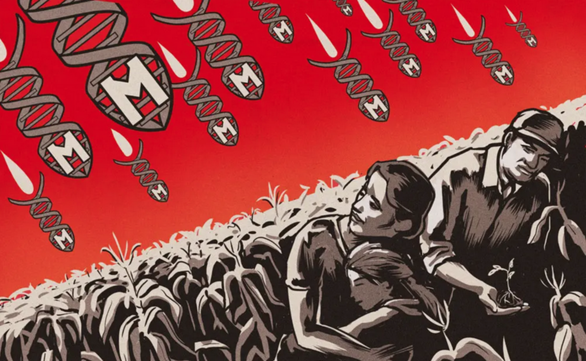 mexico-battles-u-s-government-and-mr-monsanto-to-protect-food